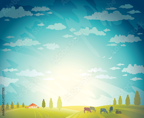 Herd of cows and rural landscape.