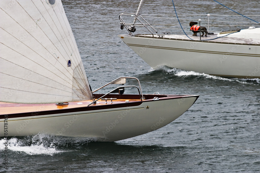 Obraz premium Sailboats bows