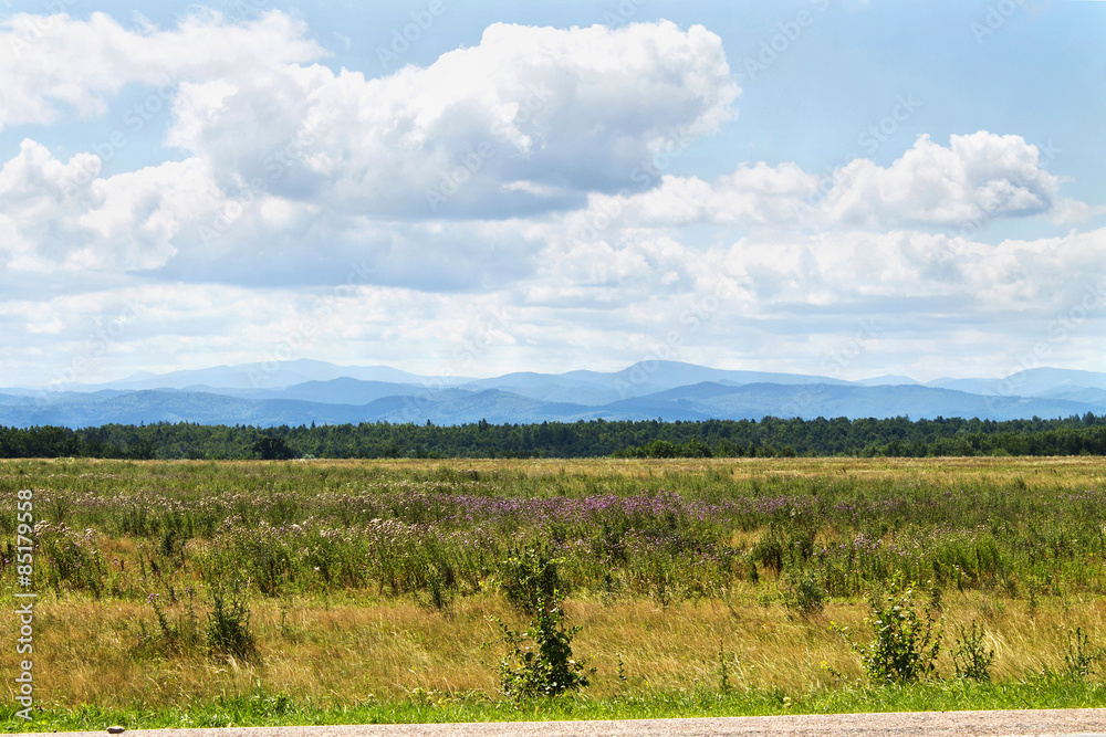 Fototapeta premium green meadow and blue sky with beautiful clouds