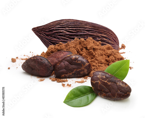 Cacao beans and powder isolated photo