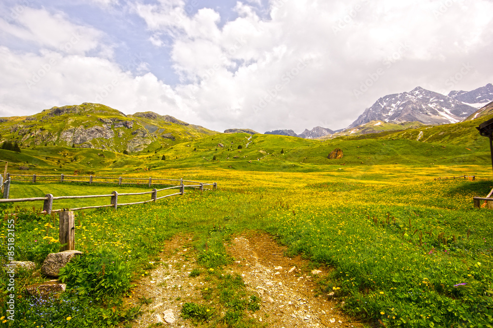 Obraz premium Frühling auf der Alp Flix