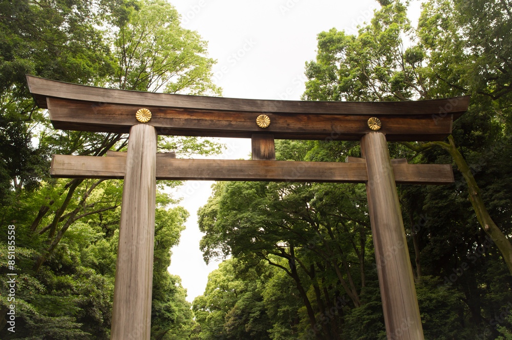  japanese famous Shrine 