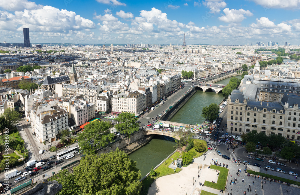 Fototapeta premium View on Paris form Notre Dame cathedral