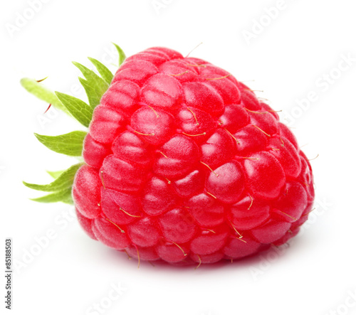 Red berry raspberry isolated