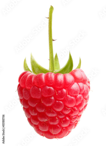 Red berry raspberry isolated