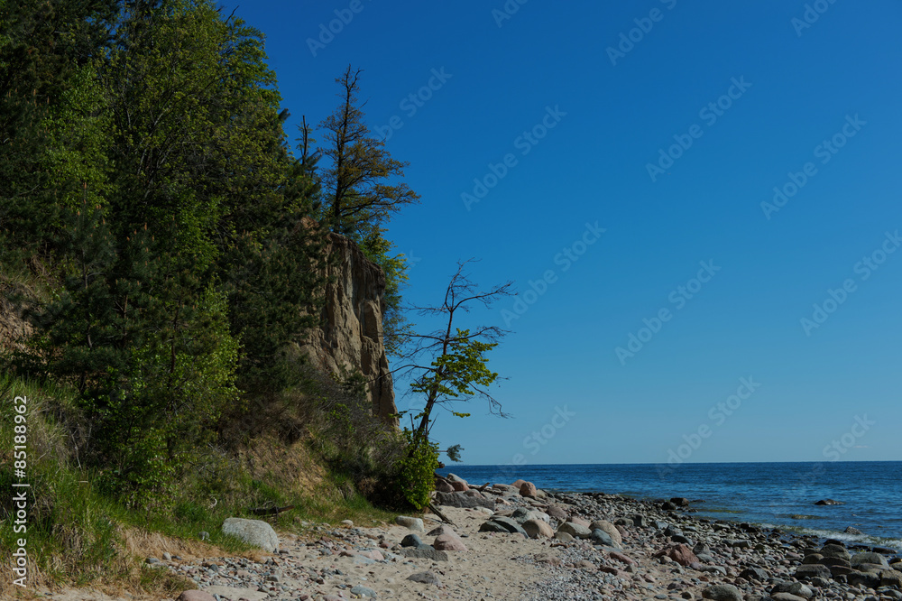 Fototapeta premium Cliff of Orlowo at Baltic sea, Poland