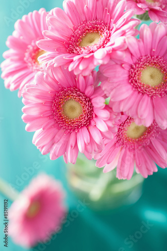 Fototapeta Naklejka Na Ścianę i Meble -  beautiful pink gerbera flowers bouquet in vase
