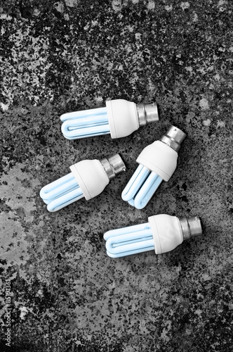 Energy efficient light bulbs photo