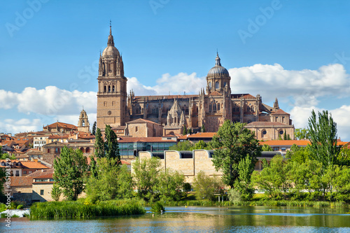 New Cathedral in Salamanca - view from river side, Castilla, Spain