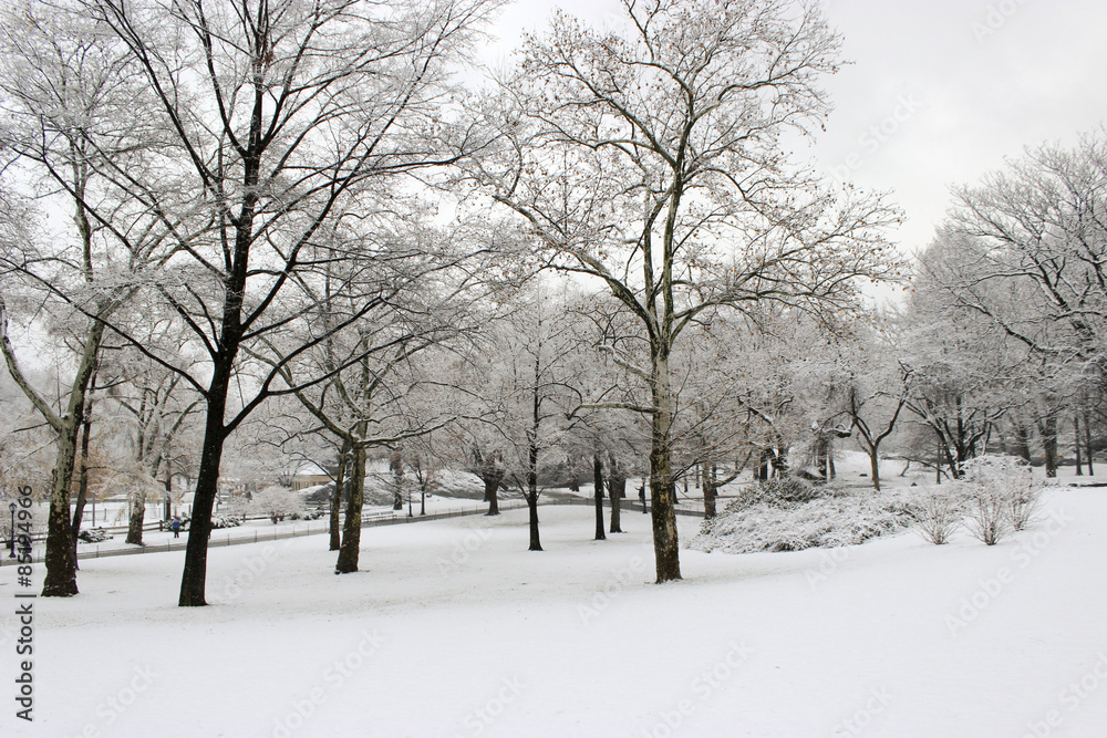 Snowy Central Park, New York City