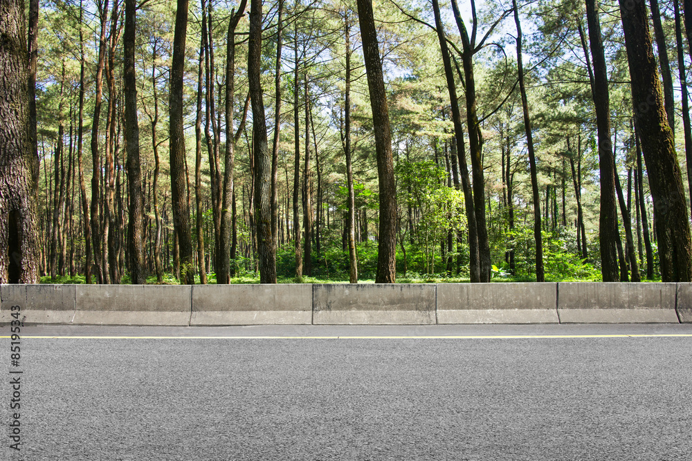 Obraz premium Roadside and forest
