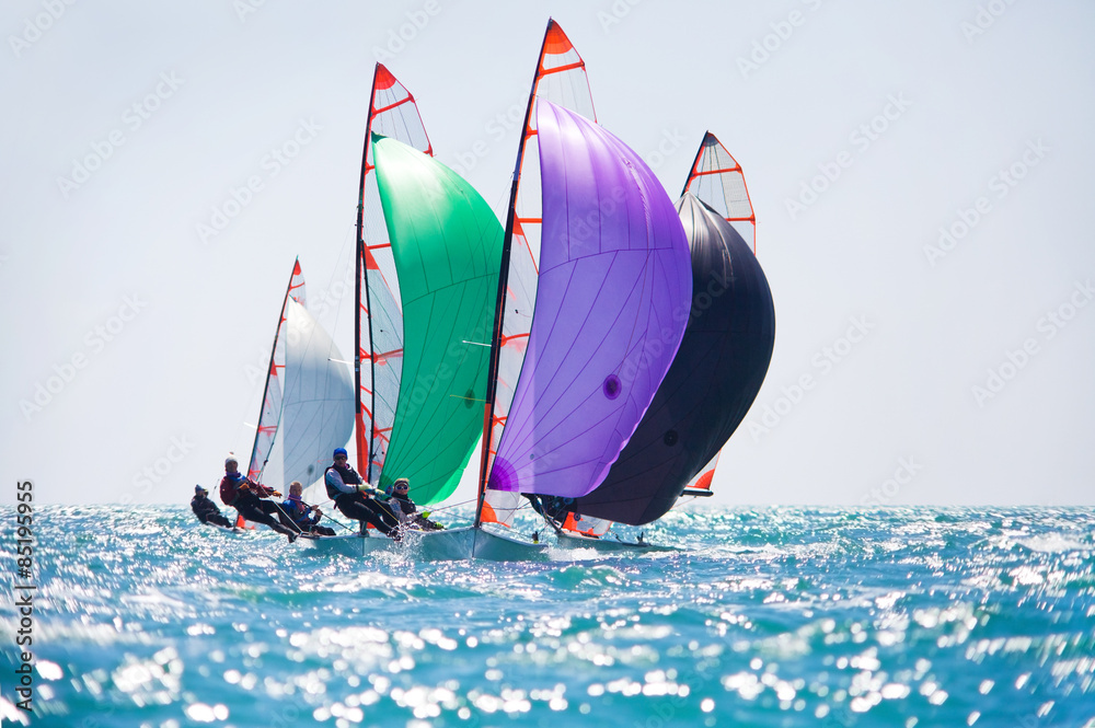 Naklejka premium sailing Regatta