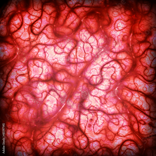 Konstfotografi blood arteries and veins