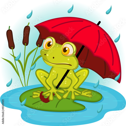 frog under umbrella - vector illustration, eps