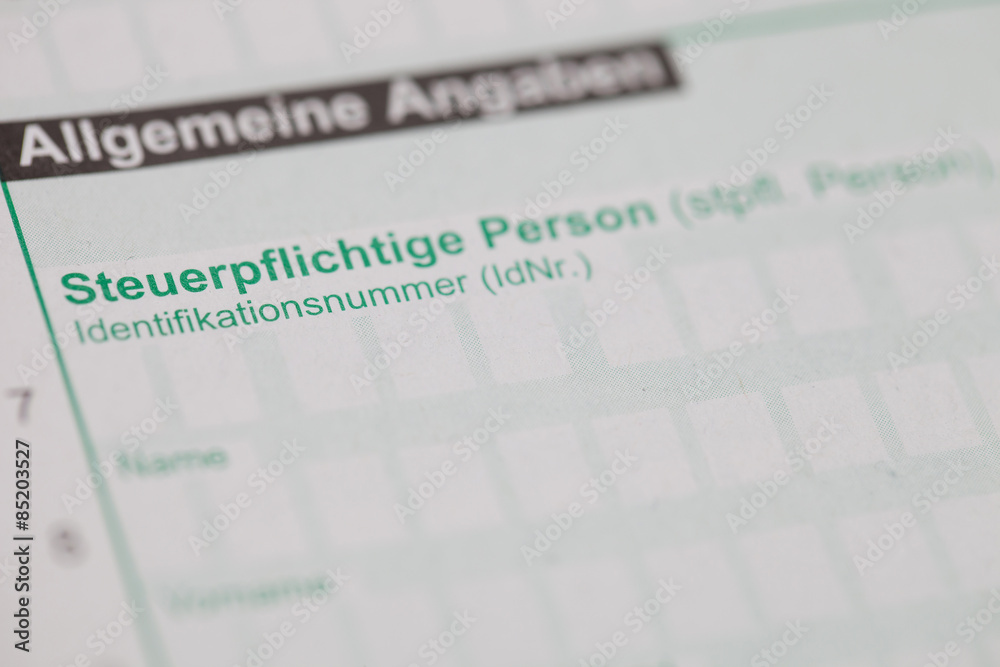 Steuerpflichtig, Angaben, Formular, Steuererklärung Steuerpflichtig, Angaben, Formular, Steuererklärung