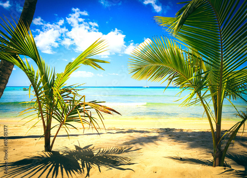 Tropical beach