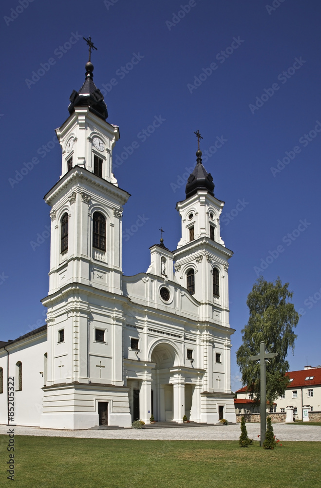 St. Michael's Small Basilica in Marijampole. Lithuania