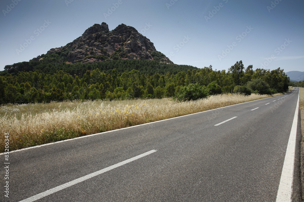 Fototapeta premium Strada asfaltata in campagna