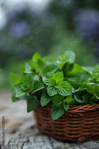 Mint  in small basket on natural wooden background  peppermint 