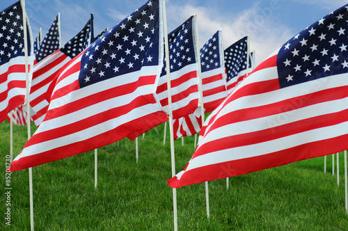 American Flags in Field