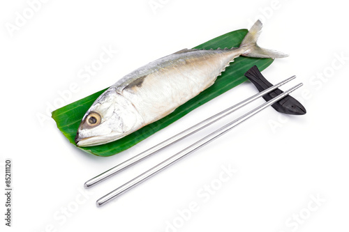 Fresh mackerel fish