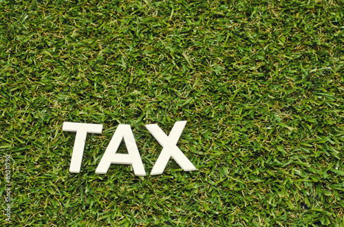 image concept word tax made froom wood on artificial grass photo