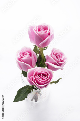 Pink rose in Beaker ,top view