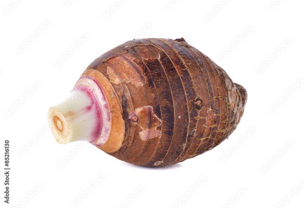 unpeeled whole taro on white background unpeeled whole taro on white background