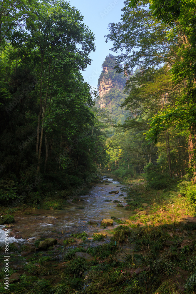 river scene of Golden Whip Stream touring line,Zhangjiajie Natio river scene of Golden Whip Stream touring line,Zhangjiajie Natio