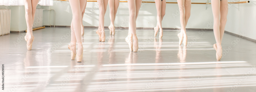 Fototapeta premium legs of dancers ballerinas in class classical dance, ballet