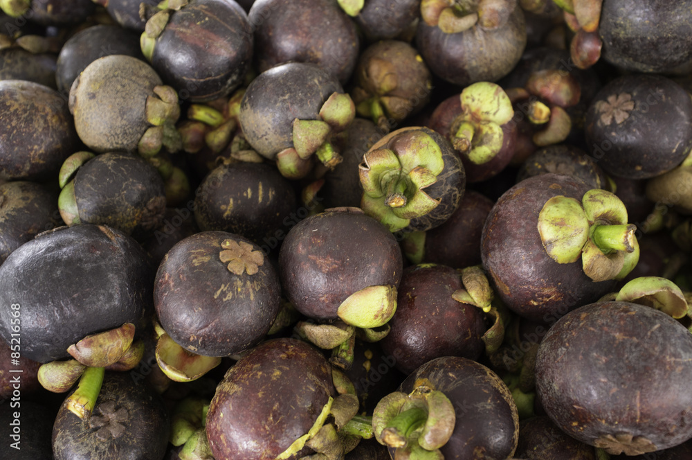 mangosteen mangosteen