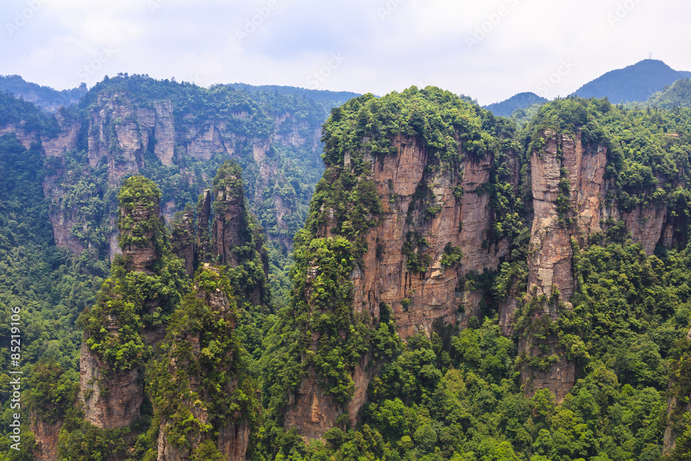 scene of rock mountain in Zhangjiajie National Forest Park,Hunan scene of rock mountain in Zhangjiajie National Forest Park,Hunan
