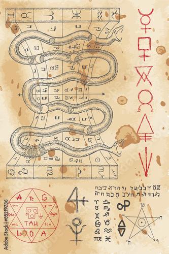 Hand drawn illustration with snake and mystic symbols