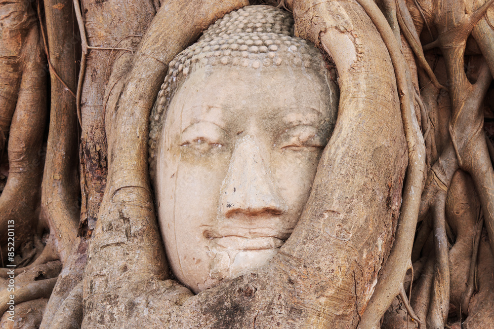 Buddha Head in the Wat Maha That temple in Ayutthaya, Thailand