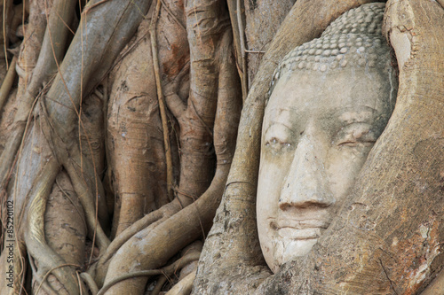 Buddha Head in the Wat Maha That temple in Ayutthaya, Thailand photo