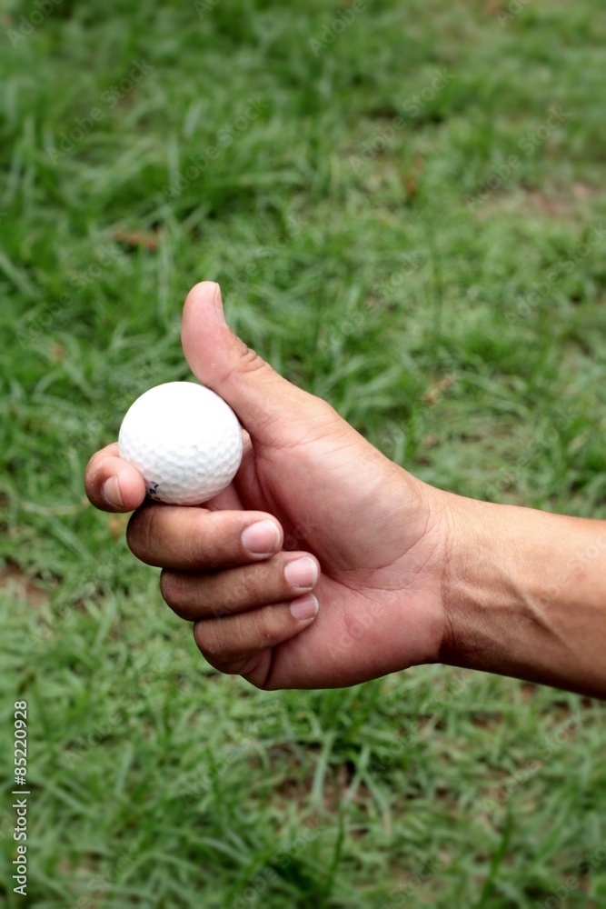 Fototapeta premium Golf ball in hand