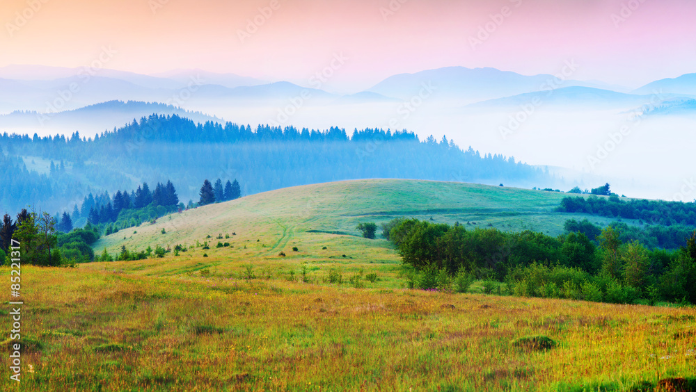 Sunny summer morning in the foggy Carpathian mountains