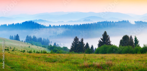 Colorful summer panorama of the foggy Carpathian mountains