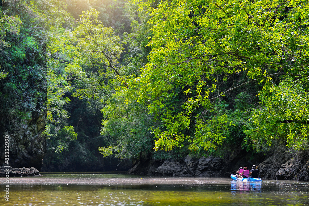 Fototapeta premium kayaking among the nature