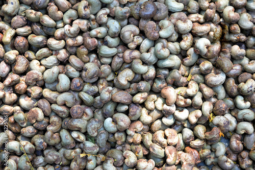 Raw cashew nuts