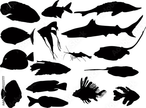 fifteen black silhouette of sea fishes