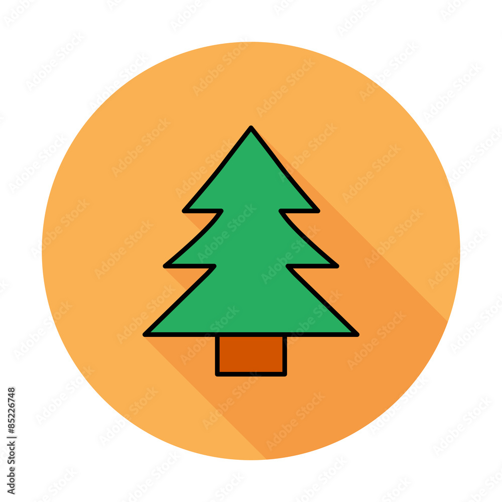 Conifer Conifer