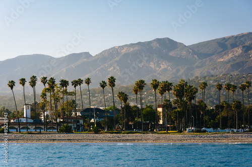 View of palm trees on the shore and mountains from Stearn's Whar