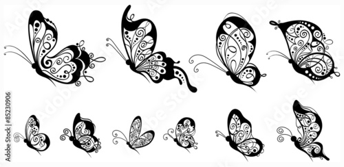 Set of butterflies, side view.