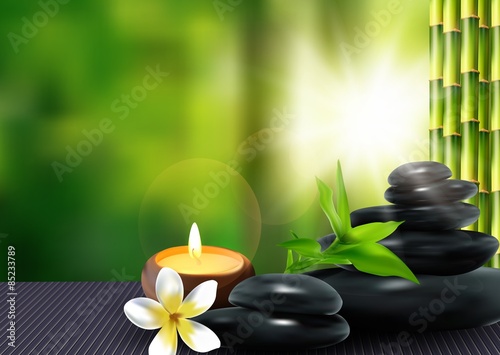 Stone, flower and bamboo background. vector