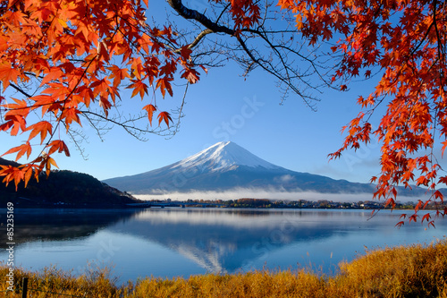 Mt.Fuji and autumn foliage at Lake Kawaguchi