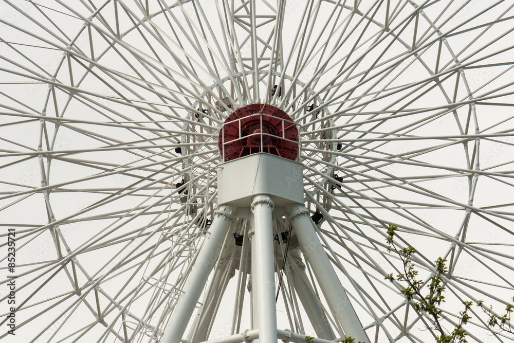Observation Ferris Wheel in park Observation Ferris Wheel in park