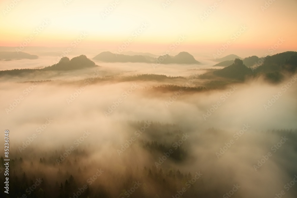 View into long deep valley full of fresh  spring mist. Landscape within daybreak after rainy night