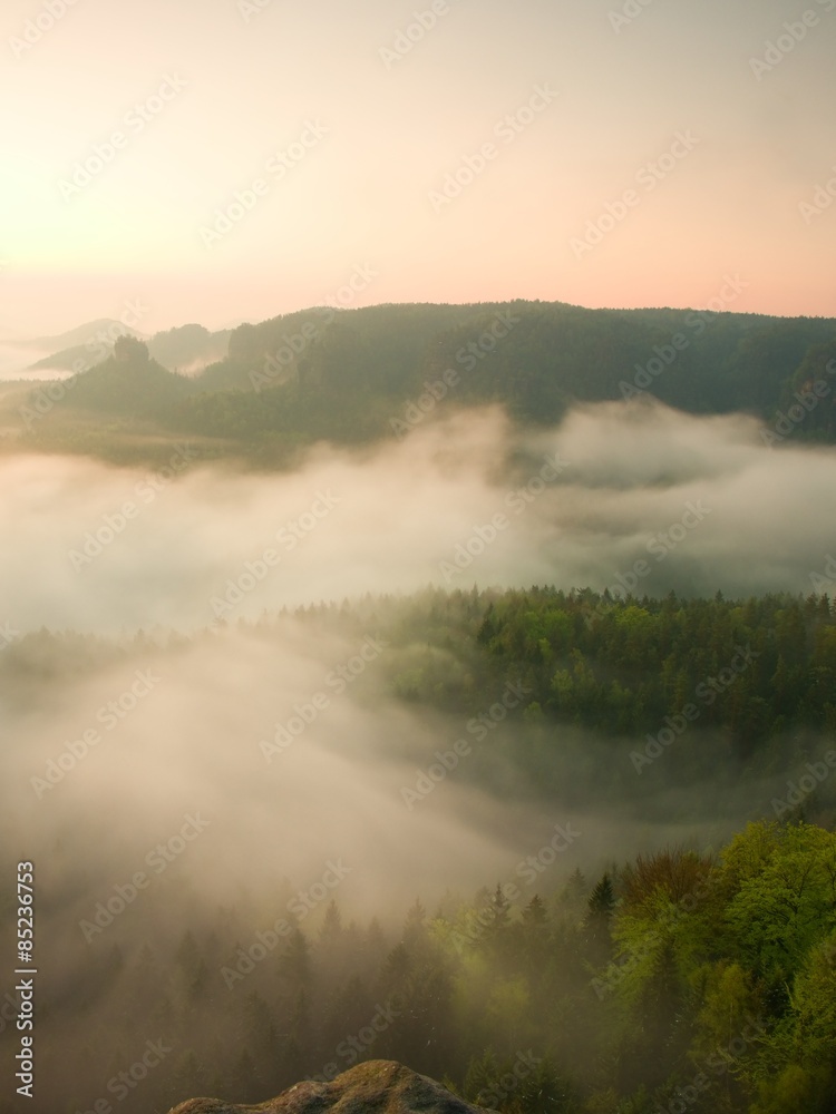 Misty melancholic morning. View into long deep valley full of fresh  spring mist. Landscape within daybreak after rainy night