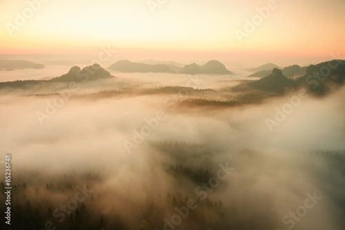 View into long deep valley full of fresh  spring mist. Landscape within daybreak after rainy night